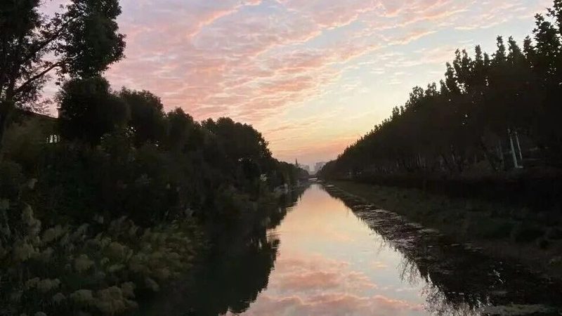 变更法人需要什么材料